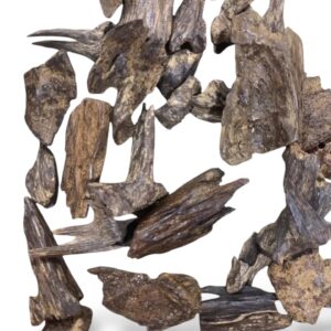 عود القماري رويال