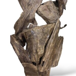 عود القماري كلمنتان