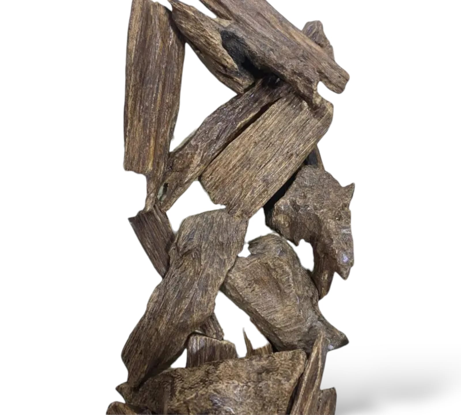 عود القماري كلمنتان - الصورة 3