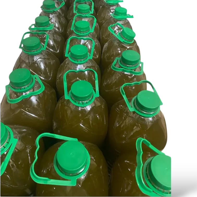 زيت الزيتون - الصورة 3